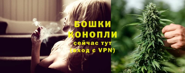 марки lsd Белокуриха
