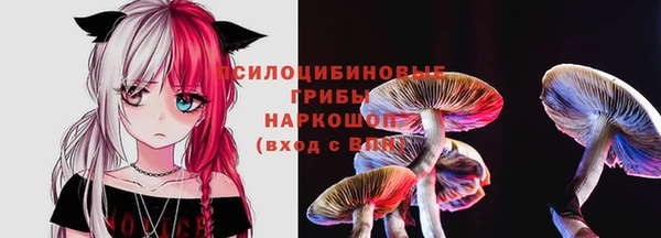 марки lsd Белокуриха