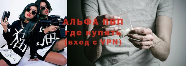 индика Белоозёрский