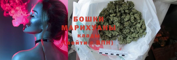 индика Белоозёрский