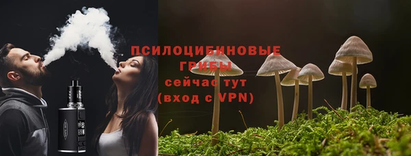 индика Белоозёрский