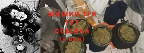 индика Белоозёрский