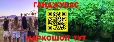 спиды Бийск