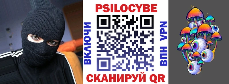 Псилоцибиновые грибы Psilocybe Видное