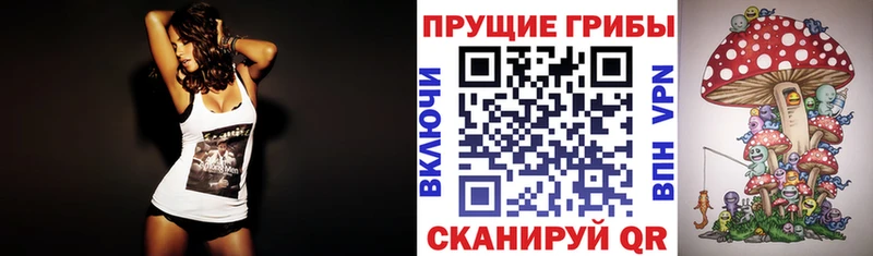 Галлюциногенные грибы ЛСД  Видное 